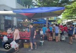 New Upper Changi Road (D16), Shop House #559258071
